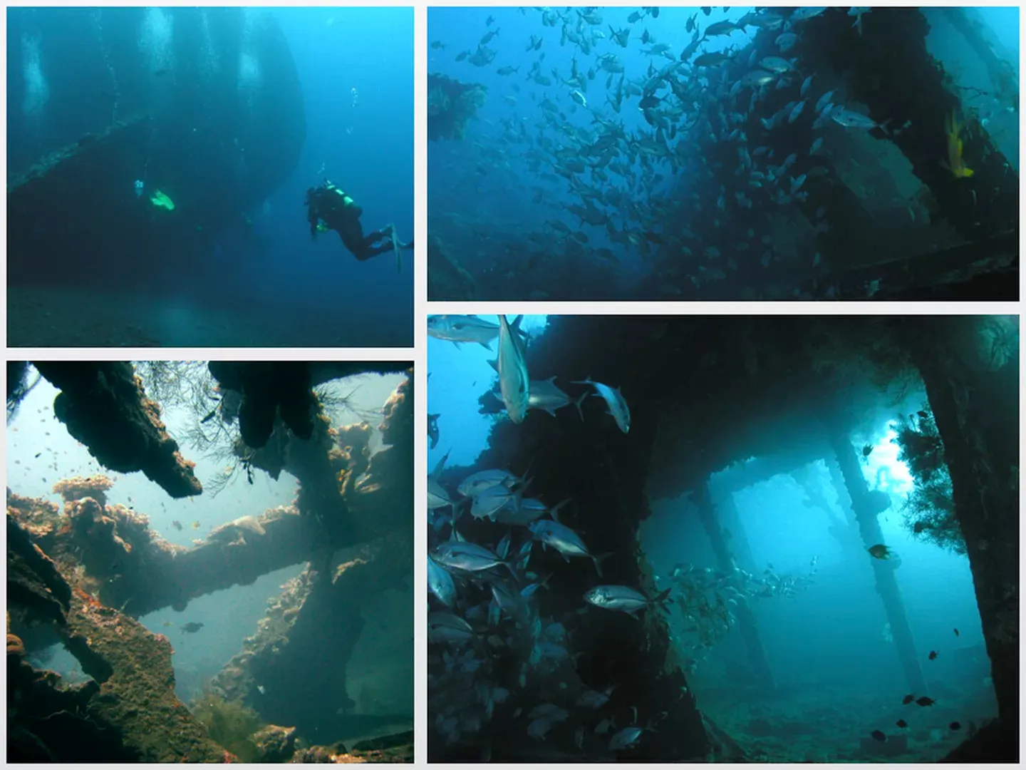 Dive the USAT Liberty Wreck in Bali