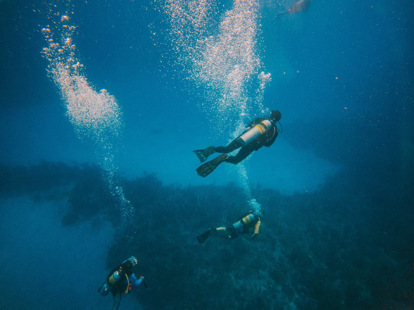 Exploring the Underwater Wonders of Wolf & Darwin Islands in the Galapagos