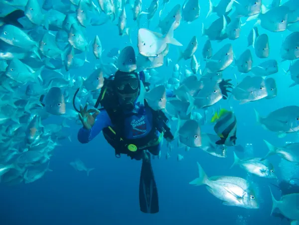 Dive 7 Mile Reef: Sodwana Bay's Marine Gem