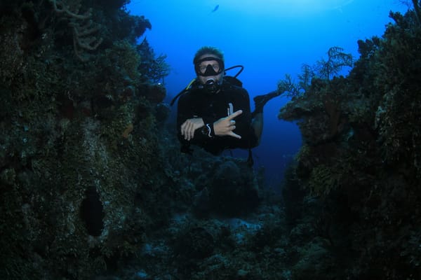 Diver exploring the SS President Coolidge wreck in Vanuatu.