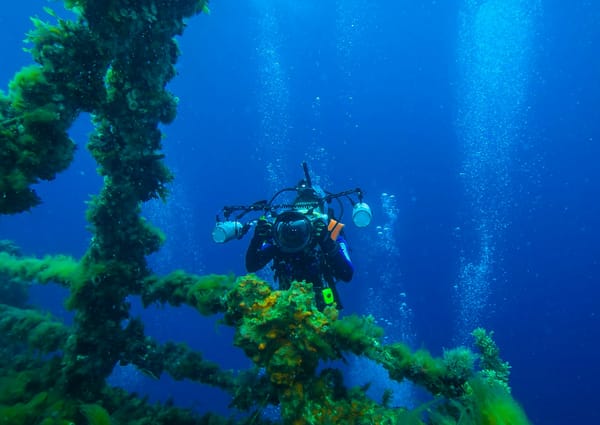 Scuba diver at SS Thistlegorm wreck in Red Sea
