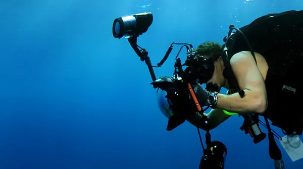 Underwater view of Ras Mohammed with reef sharks and corals.
