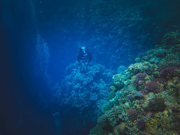USAT Liberty wreck in Tulamben, Bali with coral and fish.
