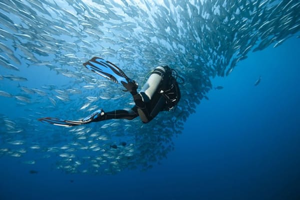Underwater view of the Blue Hole in Dahab, Egypt.